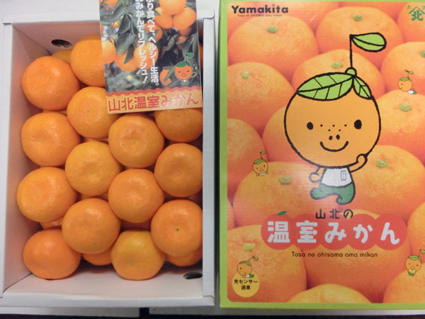 ハウスみかん