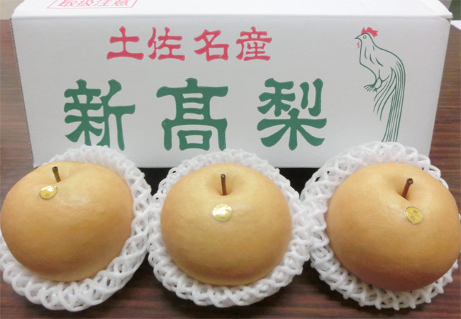新高梨